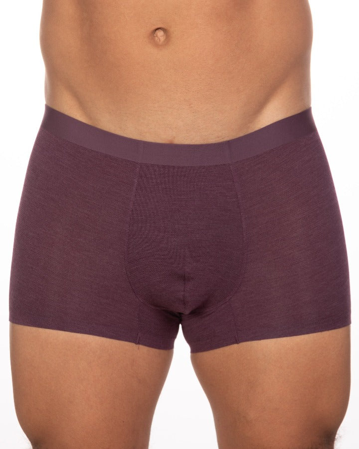Andrew Velasco Sheer Mesh Trunk Dark Purple Color