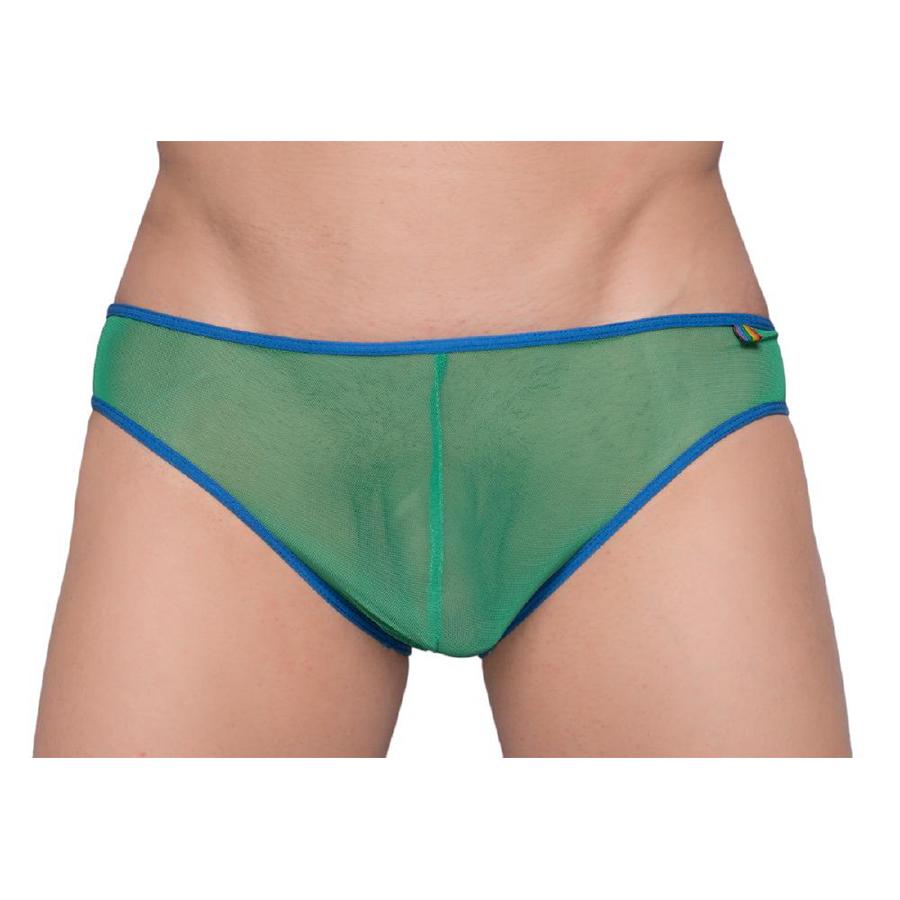 Pride Mesh Gossammer Bikini Green Color